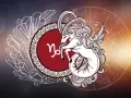 Symbol koziorożca, mityczne stworzenie z rybim ogonem i skrzydłami, na tle kryształów i koła zodiaku.