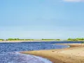Szeroka, piaszczysta plaża i spokojne wody w miejscu, gdzie Wisła wpada do morza. Zielone zarośla na horyzoncie.