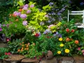 Jardín vibrante con **plantas de exterior resistentes** en tonos rosas, naranjas y morados. Una silla blanca y una regadera antigua añaden encanto.