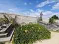 La tombe de Van Gogh, recouverte de verdure et ornée de tournesols, sous un ciel bleu.