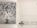 Dyzio marzyciel patrzy na wiatr w młynie i stado ptaków. Wiersz "Zjadł młyn moje życie" opowiada o przemijaniu.