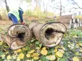 Pnie drzew leżą na ziemi, a w tle osoba w kamizelce odblaskowej. Dowiedz się, jak uniknąć kary za wycięcie drzewa bez zezwolenia.