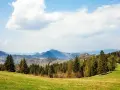 Zielona łąka schodzi ku lasowi, za którym widać pasmo górskie. To najbliższe góry od łodzi, które widać na horyzoncie.