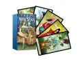 Karty do wróżenia z opisem "Tarot Wróżka" przedstawiają magiczne sceny z kobietą i lwem na okładce oraz różnorodne ilustracje na kartach, w tym Koło Fortuny.