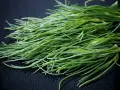 Un fascio di agretti freschi, pronti per essere cucinati, simbolo della loro stagione.