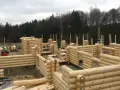 Jaka grubość bala na dom całoroczny, aby uniknąć wysokich kosztów ogrzewania?