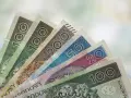 Różne nominały polskich banknotów ułożone wachlarzowo. Zastanawiasz się, ile wynosi świadczenie pielęgnacyjne?