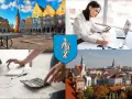 Kolaż: Rynek w Poznaniu, kobieta z kalkulatorem, herb Poznania, panorama miasta.