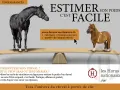 Un grand cheval noir et un petit poney brun sont sur une balance. Estimer le poids cheval est facile avec les outils en ligne des Haras Nationaux.