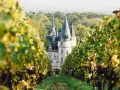 Un château majestueux se dévoile entre les vignes, invitant à visiter Reims à pied.