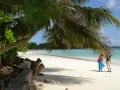 Rajska plaża, palmy, turkusowa woda – tak właśnie wyglądają Seszele. Dwie osoby pod palmą podziwiają widok.