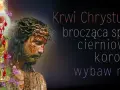 Obraz przedstawia cierpiącego Jezusa w koronie cierniowej, kielich z Krwią Chrystusa i kwiaty. Modlitwa za córkę.