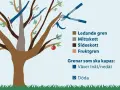 Illustration visar hur man beskär ett nytt äppelträd. Röda streck markerar var grenar ska kapas. En sekatör visas.