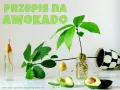 Zobacz, jak rośnie awokado w domu! Od pestki w wodzie do małej roślinki. Przepis na domowy ogródek.