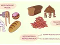 Ilustracja pokazuje węglowodany proste (makaron, ciastko) i złożone (chleb, ryż). Wskazuje też na błonnik nierozpuszczalny.