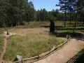 Kamienne kręgi, niczym polskie Stonehenge, otoczone lasem i wrzosowiskiem.