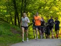 En grupp löpare tränar för en marathon distans i en grönskande park.