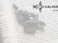Un dragón plateado sobre un libro abierto, ideal para inspirar nombres para personajes de libros.