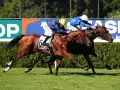Course hippique : un jockey et son cheval en pleine action, le numéro 6 bien visible.