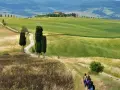 Un sentiero serpeggia tra dolci colline verdi nel Val d'Orcia provincia, con cipressi e una casa colonica in lontananza.