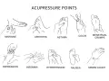 Illustration zeigt akupressur druckpunkte für Migräne, Arthritis, Asthma, Erkältungen, Menstruationsbeschwerden, Depressionen, Schlaflosigkeit, Bluthochdruck, Übelkeit und Spermienzahl.