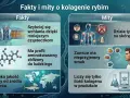 Fakty i mity o kolagenie rybim. Lekarze potwierdzają: szybkie wchłanianie, profil aminokwasowy zbliżony do ludzkiego, jakość zależy od źródła. Nie działa tylko na skórę, smak może być przyjemny, liczy się nie tylko ilość.