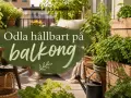 Grönskande balkong med örter och växter i träkorgar. En vattenkanna står redo. Odla hållbart på balkong, även när det blommar utan blommor.