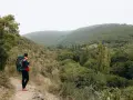 Randonneuse avec sac à dos sur un chemin d'amadou, contemplant une vallée verdoyante. La carte du chemin d'amadou est dans sa poche.