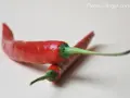 Dos chiles rojos brillantes con tallos verdes sobre fondo claro.