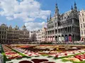 Grand Place, Brussels, with a vibrant flower carpet and ornate buildings under a blue sky.