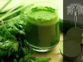 Grönt juiceglas med persilja och lime. Perfekt för dig som vill testa fasta varannan dag och ge kroppen en hälsokick.