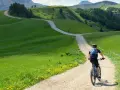 Rowerzysta przemierza malowniczą dolnośląską krainę rowerową, wijącą się wśród zielonych wzgórz i kwiecistych łąk.