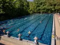 Ein sonniger Tag im Freibad Berlin. Menschen schwimmen in den Bahnen, andere entspannen sich am Beckenrand.