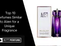 Alien Duftalternativen finden: Die besten Dupes & ähnliche Düfte