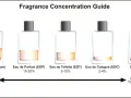 Eau de Toilette oder Eau de Parfum – Welche Wahl ist die richtige für dich?