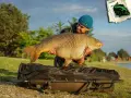 Glücklicher Angler präsentiert stolz einen riesigen Karpfen am Schwerborner See.