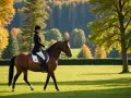 Une cavalière en tenue d'équitation monte un cheval brun dans un pré verdoyant, avec des arbres aux couleurs d'automne en arrière-plan. Un cadre idéal pour un gîte équestre.