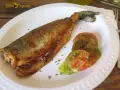 Trucha a la navarra dorada y crujiente, servida con rodajas de tomate fresco y hierbas aromáticas.