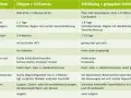 Influenza Symptome bei Erwachsenen: So erkennen Sie die Krankheit schnell