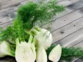 Frischer Fenchel, oft als wohltuend in der Schwangerschaft empfohlen, liegt auf einer Holzoberfläche.