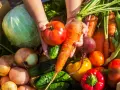 Cesto pieno di verdure di stagione di maggio: pomodori, carote, cavoli, cipolle, patate, peperoni, cetrioli e fagiolini.
