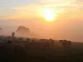 Pasterz prowadzi stado owiec przez mglisty poranek, słońce wschodzi, tworząc ciepłą, złotą poświatę, jak w psalm 72.