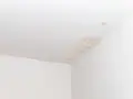 Plamy i zacieki na suficie, które wymagają użycia farby na plamy i zacieki.