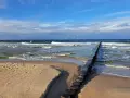 Pociągiem nad morze! Piękny dzień, fale rozbijają się o brzeg, a mewy szybują na błękitnym niebie.