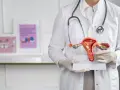 Lekarz prezentuje model narządów rodnych, omawiając grubość endometrium normy.