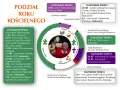 Podział roku kościelnego z ważniejszymi świętami, w tym niedziele.