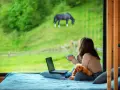 Femme avec un chien et un ordinateur portable, regardant un cheval brouter dans un champ verdoyant. La réglementation cheval sur terrain privé est une préoccupation.