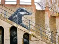 Enkel graffiti av en grävling som tittar fram ur en trappa. Konstverket är detaljerat och ger liv åt den annars slitna betongväggen.