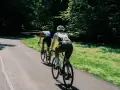 Two cyclists enjoy a scenic road biking adventure through a sun-dappled forest path.