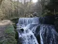 Cascade d'eau dans une forêt, un chemin de terre longe la rivière. Au fond, un tunnel voûté suggère une source d'arcier.